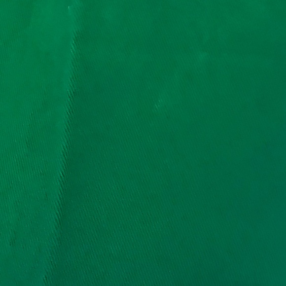 J. Crew Cafe Capri, Kelly Green - Picture 7 of 7